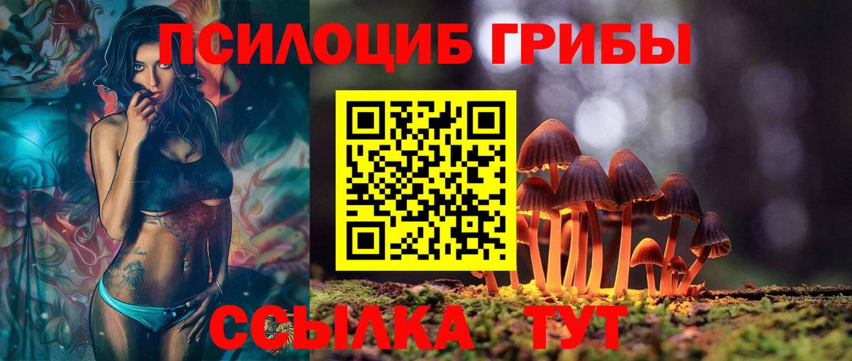 Псилоцибиновые грибы GOLDEN TEACHER Белая Калитва